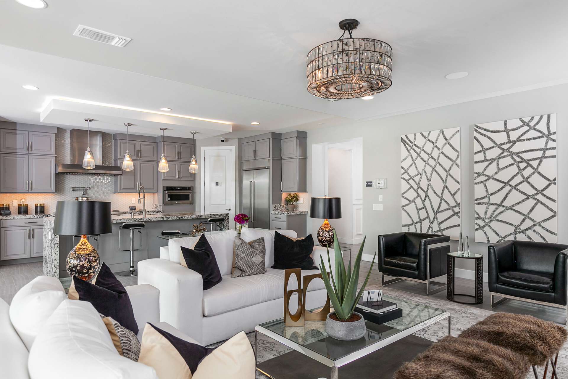 Residential living area and kitchen